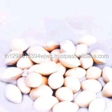 
Good Quality Ginkgo Nuts for Sale  (50037193809)