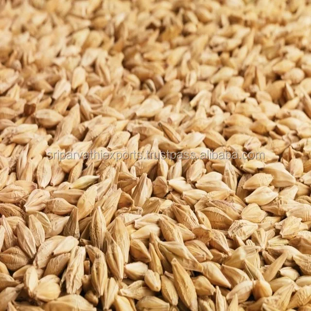 Barley Animal Feed Buy Animal Feed,Barley,Poultry Feed Product on
