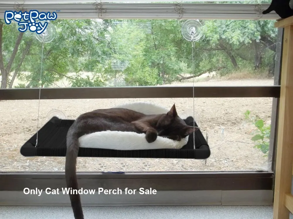 cat hammock window