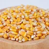 Yellow Corn for Popcorn,Yellow Popcorn NON-GMO and GMO Popcorn