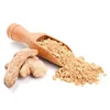 ginger for sale