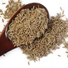 cumin seed sortex