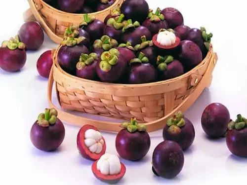 
WHOLE SALE mangosteen 