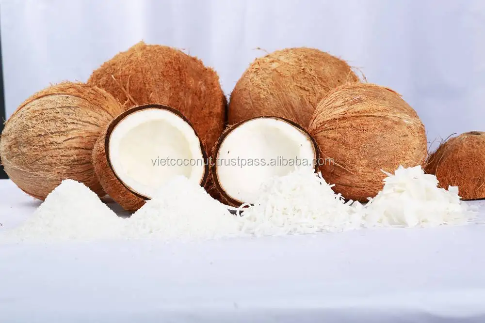 desiccated-coconut-high