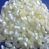 Organic White Corn / Maize for Sell