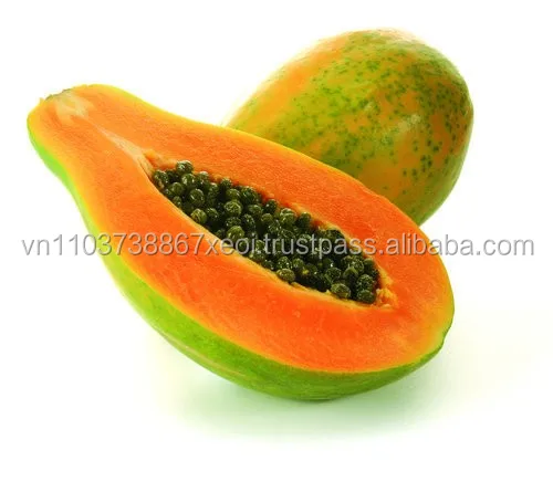 spray-dried-papaya-powder-500x500