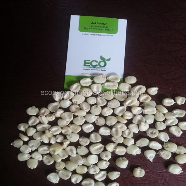
Desi Maize 
