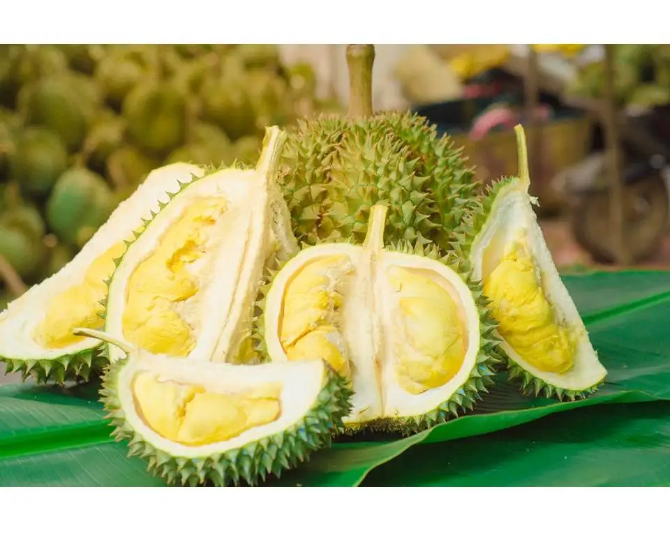 Плод с дурным запахом. Таиландский фрукт дуриан. Дуриан питайя. Дуриан в Тайланде. Дуриан во Вьетнаме.