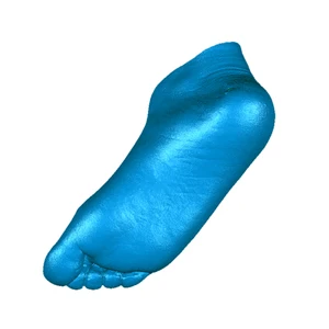 Foot 3D Scanner Dual ROV