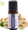 Cashew Nut Shell Liquid