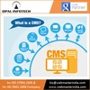 CMS Web Development Solutions for all Content Management Systems In India.