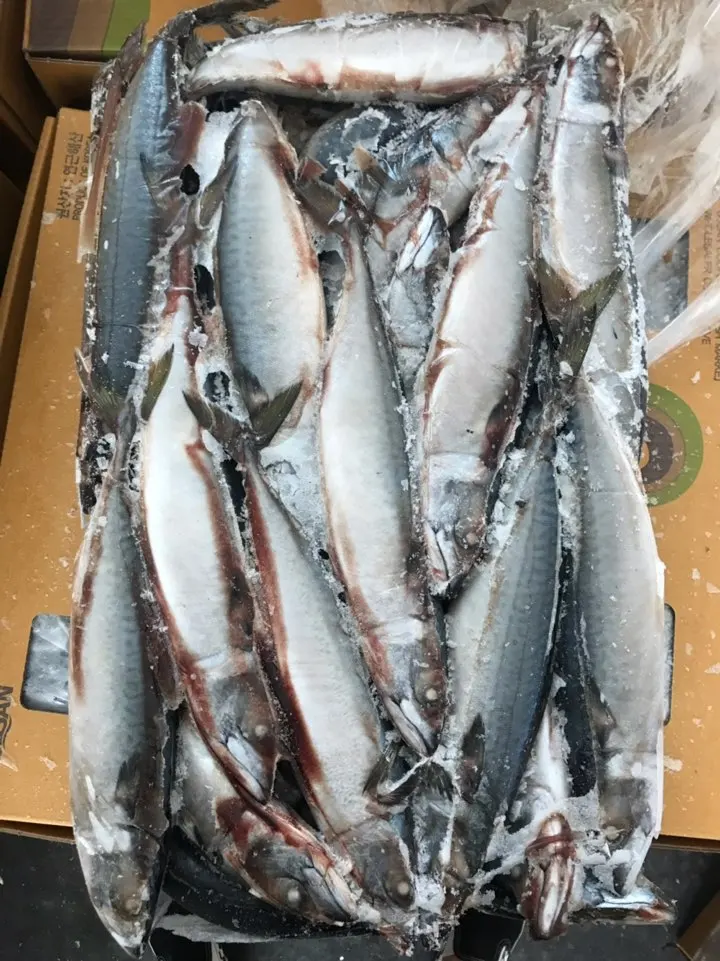 
FROZEN PACIFIC MACKEREL W/R 