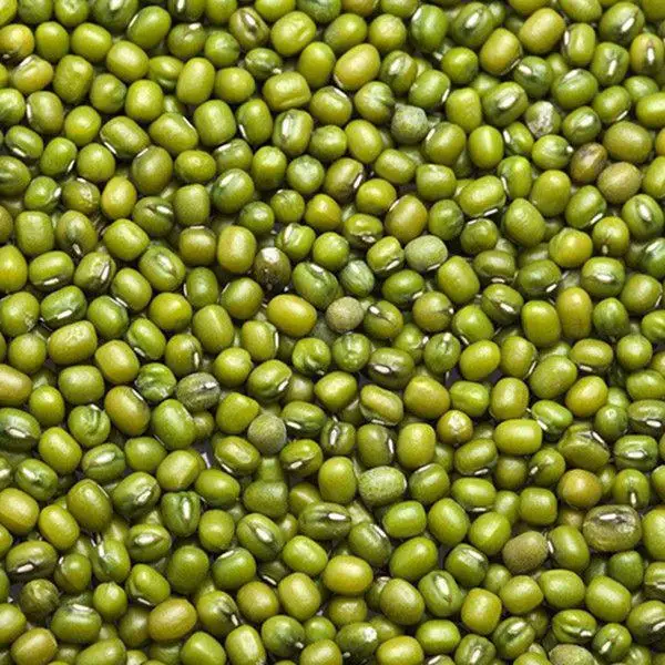
exporting high quality Uzbekistan organic green mung beans 