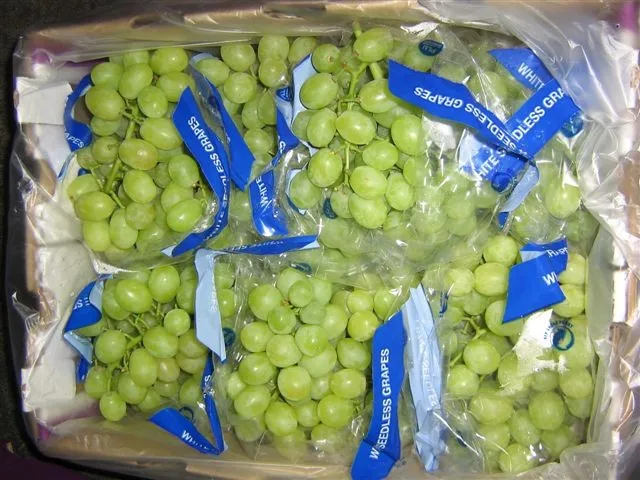 
Quality Sweet Thompson Seedless Sweet Fresh Grapes for Wholesale 