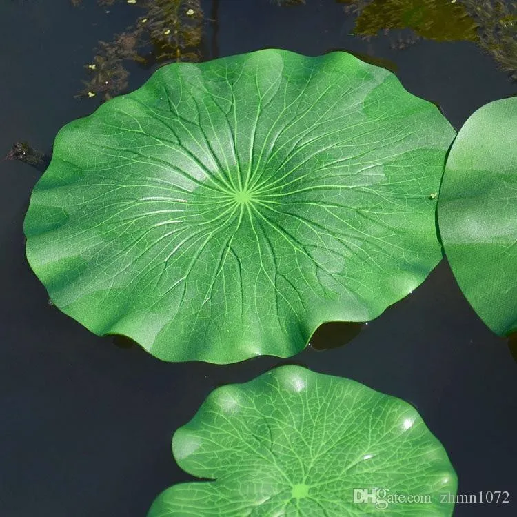 Хоста sea lotus leaf