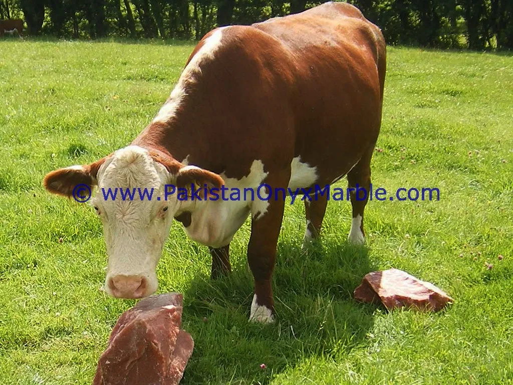 Animal Licking Rock Salt 100 Natural Salt Lick Salt Lick,Horse