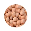 Groundnut Prices India