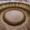 Bacteria for wastewater treatment sensor for reduction of foaming agents