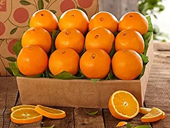 Fresh Citrus Fruits Fresh Oranges Lemons Apple Limes Grapes And Avocado Buy Fresh Orange Product On Alibaba Com