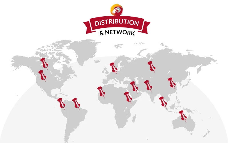 Distribution network. Карта дистрибуции. Distribution Network of Volkswagen.