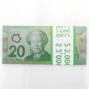 Prop money 20 Canadian dollars Double sided