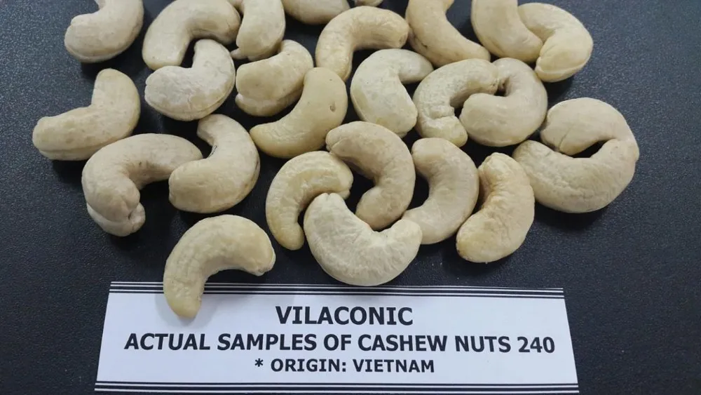 BEST RATE CASHEW NUTS/ CASHEW KERNEL SIZE WW240 WW320 WW450 LP WS