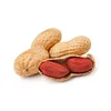 /product-detail/blanched-peanut-kernels-peanuts-white-peanut-kernel-62009216628.html