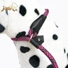 2.5M Rose Red Nylon Braided Rope Dog Slip Lead With Soft Eva Handle