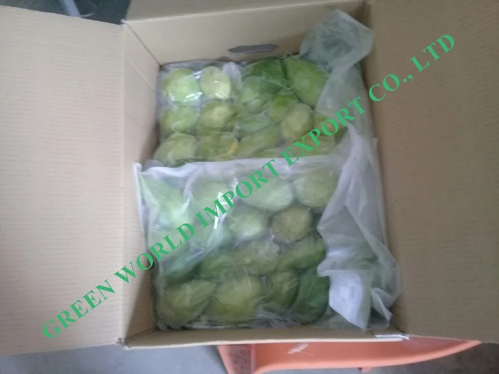 
NATURAL FROZEN AVOCADO - CHEAPEST PRICE 
