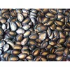 WATER MELON SEED KERNELS,Black Melon Seeds,RED WATER MELON SEEDS