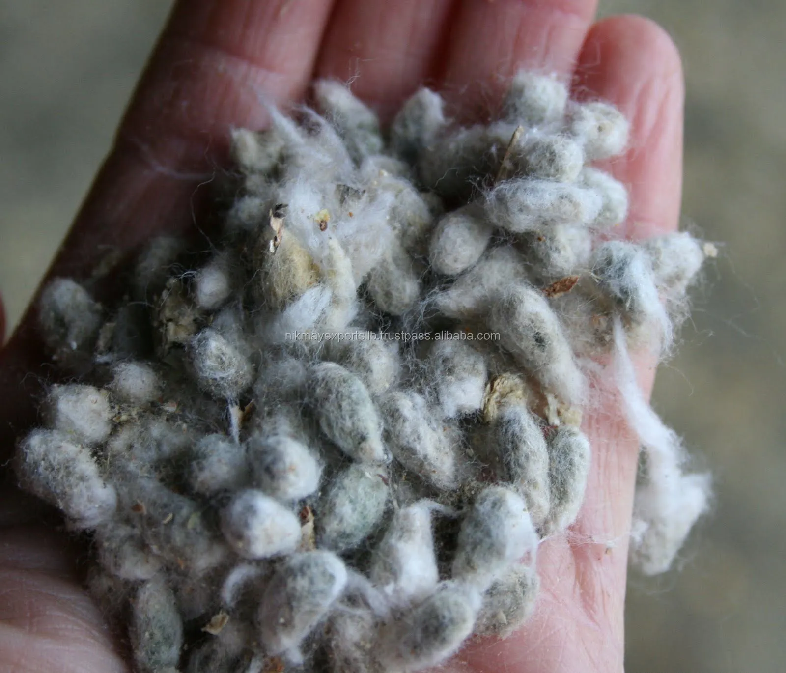 
ANIMAL FEED COTTON SEED ORIGIN INDIA FROM NIK-MAY EXPORTS LLP 