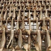 GRADE "A" COD / TORSK / HADDOCK / HYSE / SAITHE / SEY/ LING / LANGE DRIED STOCKFISH