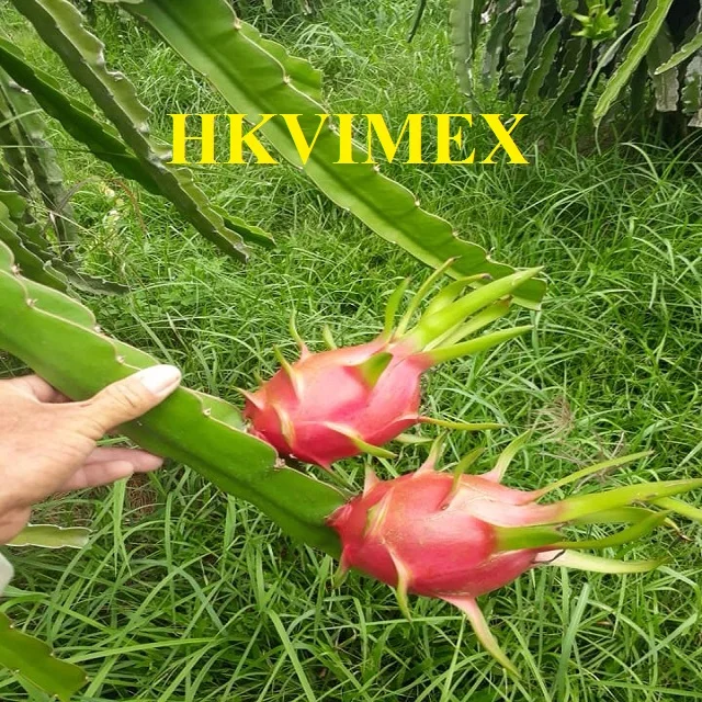 u.jpg
