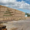 Top Quality Pine/Spruce Lumber from Latvia - KD