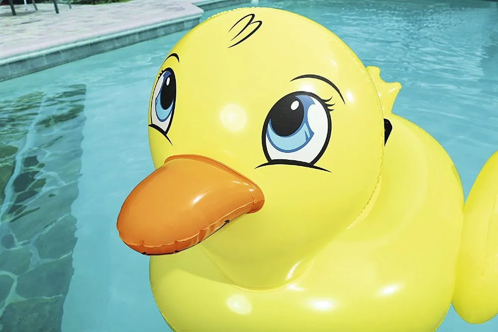 duck blow up pool