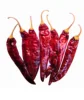 Red Chillies With Stem from india