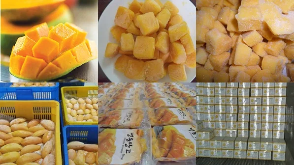 
BEST SELLER OF VIETNAM: IQF FROZEN MANGO 