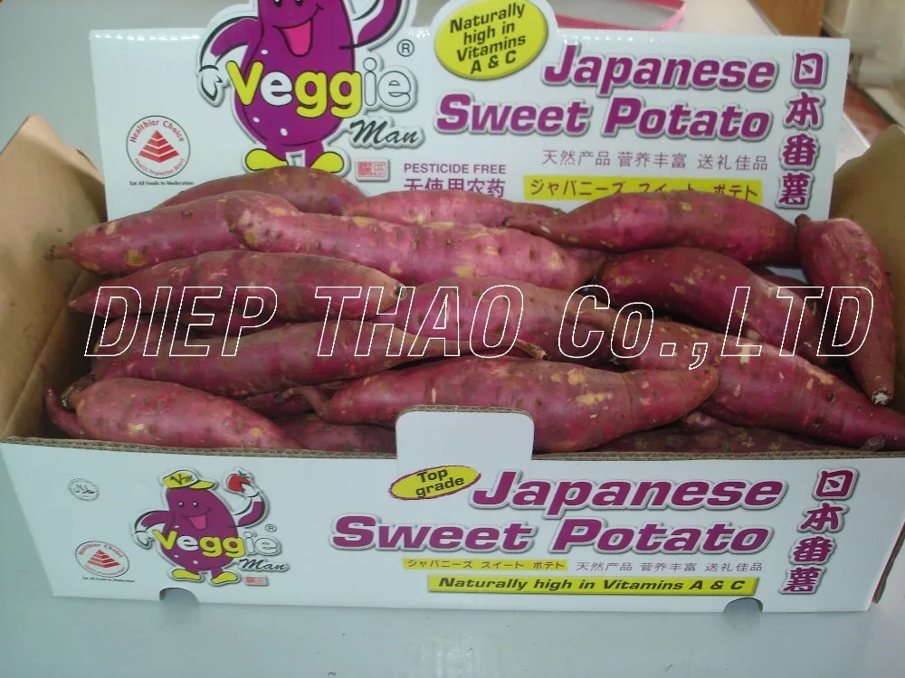 Fresh Purple Sweet Potatoes/ Japanese Fresh Sweet Potato - Buy Fresh