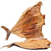 100% Dry Stock Fish From Canada Best Quality Best Offer
