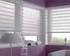 Modern Design Polyester Fabric Zebra Blind Roll up