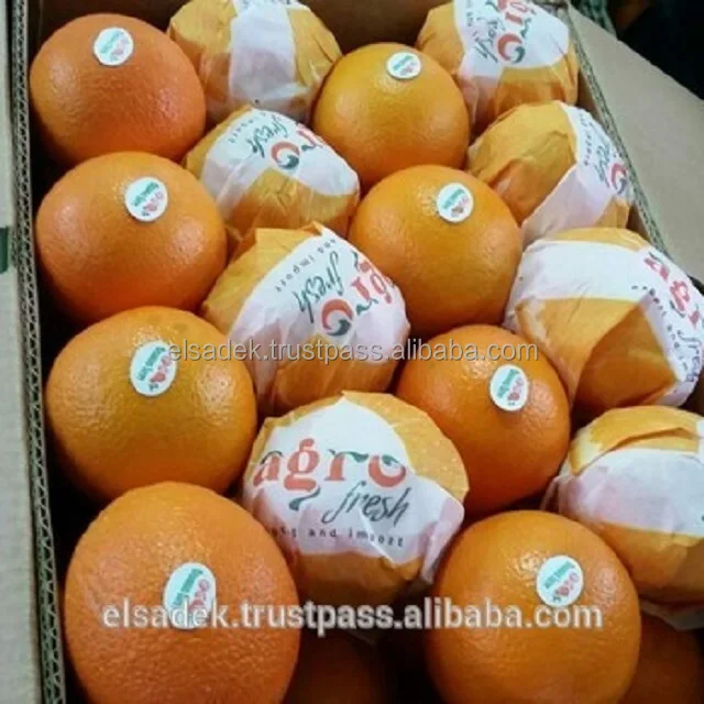 
Navel Orange / Valencia Orange / Baladi Orange 