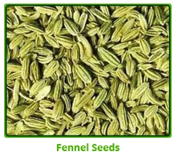 Fennel-Seed.jpg