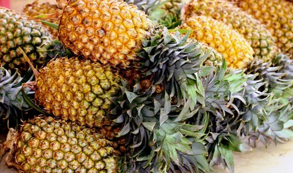 Fruta De Piña Fresca,Piña De Cayena Fresca,Whatsapp + 0084 845 639639 ...