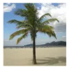 QY summer in beach hotel coconut tree artificial coconuts palm tree