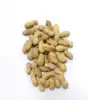 Roasted Salted Peanut in shell High Quality 2018 Indonesia