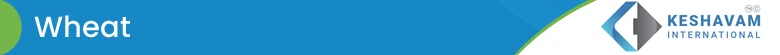 Wheat T.jpg
