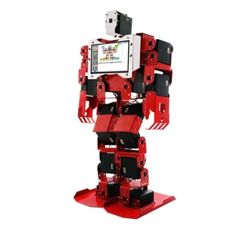 raspberry pi humanoid