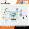 Specialize & Responsive Website Development and Wordpress Services from USA