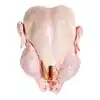 Frozen Chicken Feet, Wings, Leg, Paws,Whole For Export