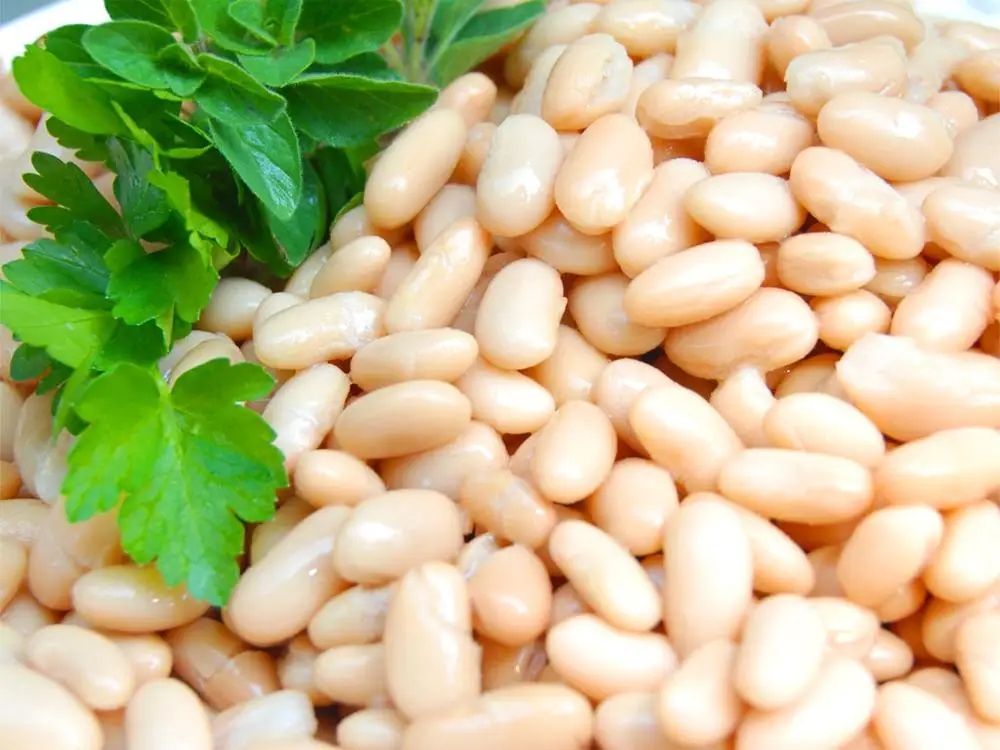 
White beans in can - 24 x 400 grams 